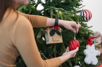 The Hidden Grinch – Navigating Allergies Caused By The Christmas Tree Syndrome