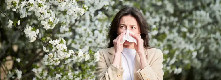 All You Need To Know About Hay Fever (Allergic Rhinitis)