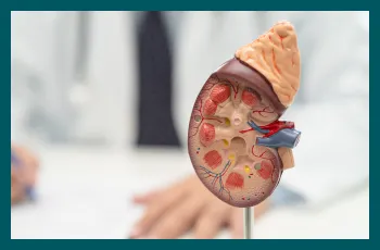 Kidney infections