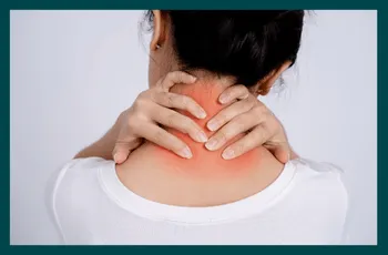 What is the neuromuscular system and why does it matter?