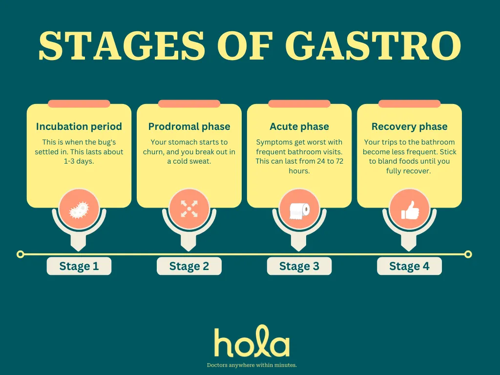 4 Stages of Gastroenteritis in Adults