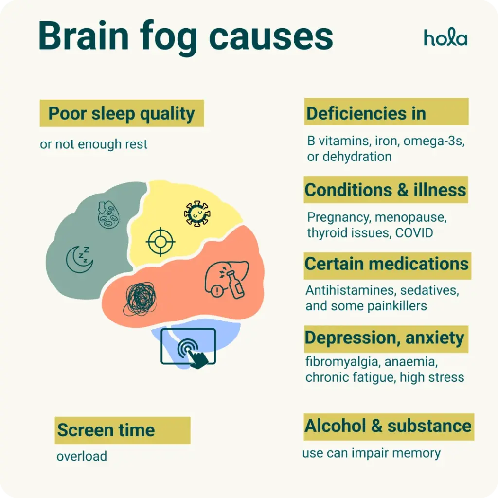 infographic-showing-brain-fog-causes-symptoms-treatment